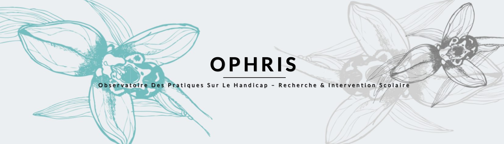 OPHriS — Observatoire Des Pratiques Sur Le Handicap